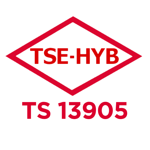 TS 13905 logo