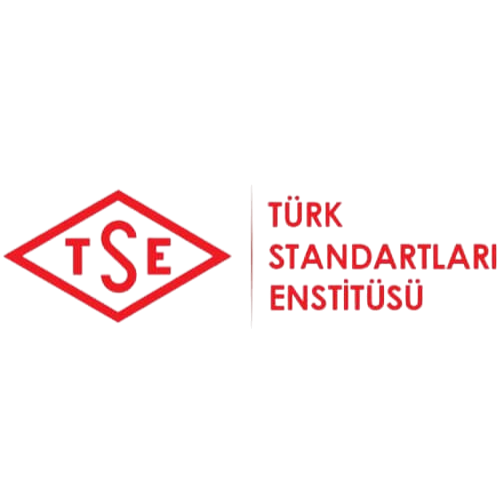 TSE logo